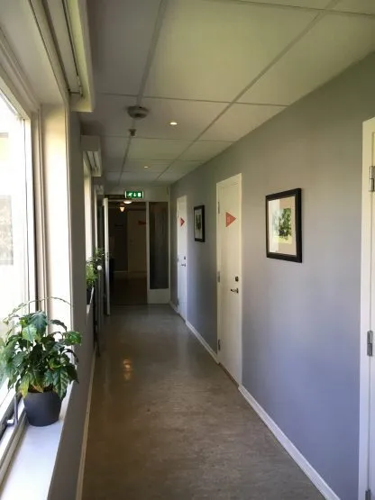 Smal kontorgang med vinduer til venstre, potteplanter i vinduskarm, dører og innrammede bilder på veggene.