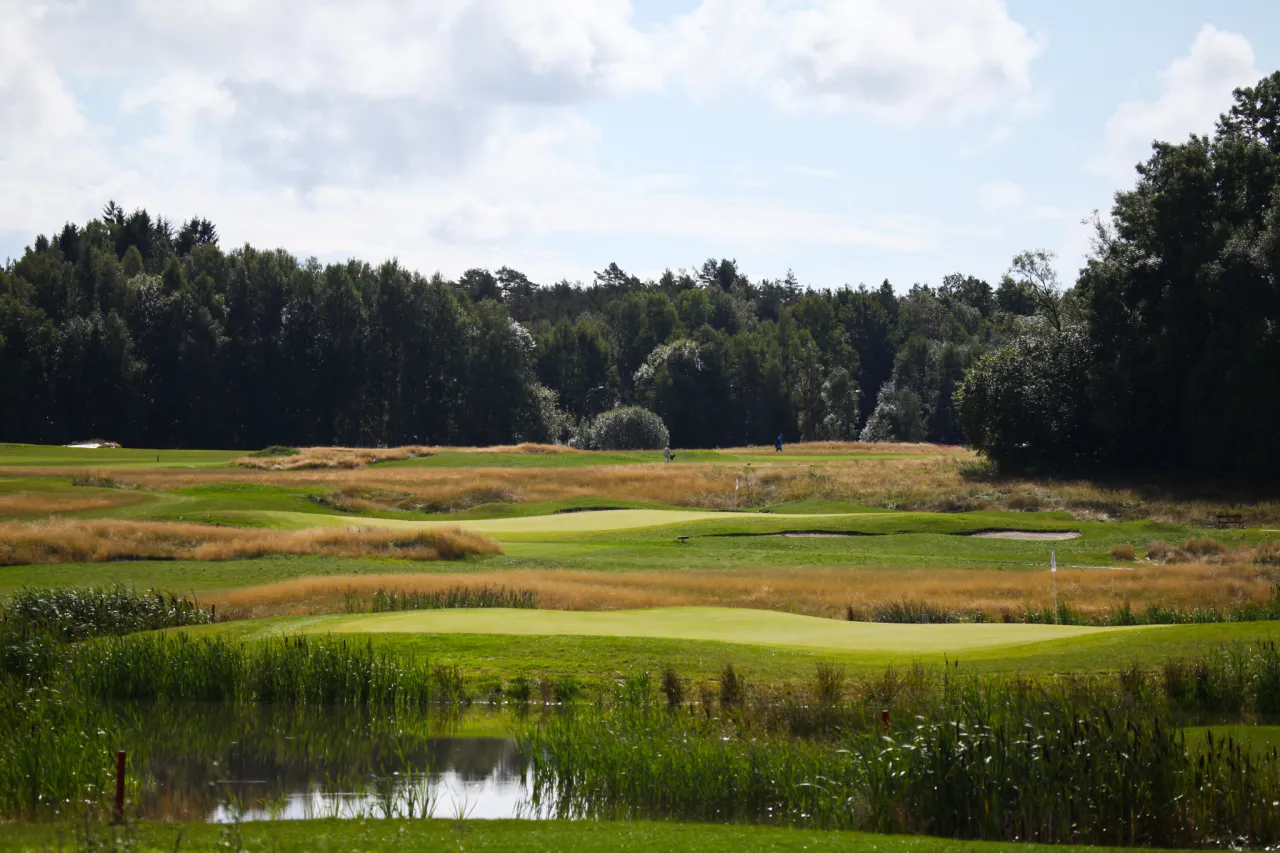 Hull 12 Golfbane