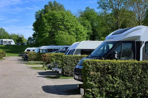 Flere bobiler og campingvogner står parkert ved hekker langs en grusvei, omgitt av grønne trær og blå himmel.